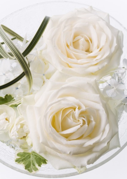 点击大图看下一张：甜蜜婚礼情景图片