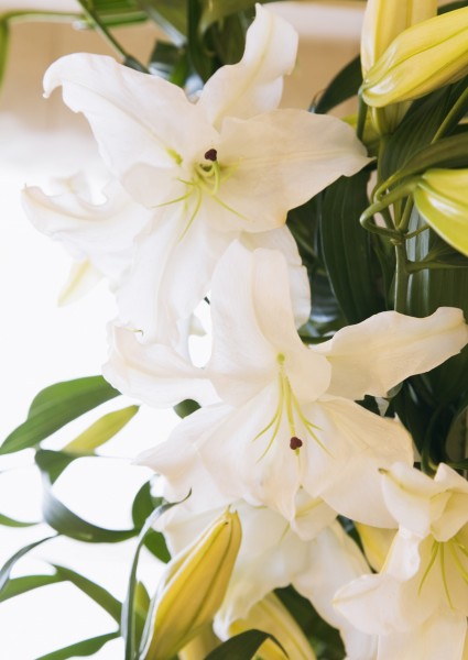 点击大图看下一张：甜蜜婚礼情景图片