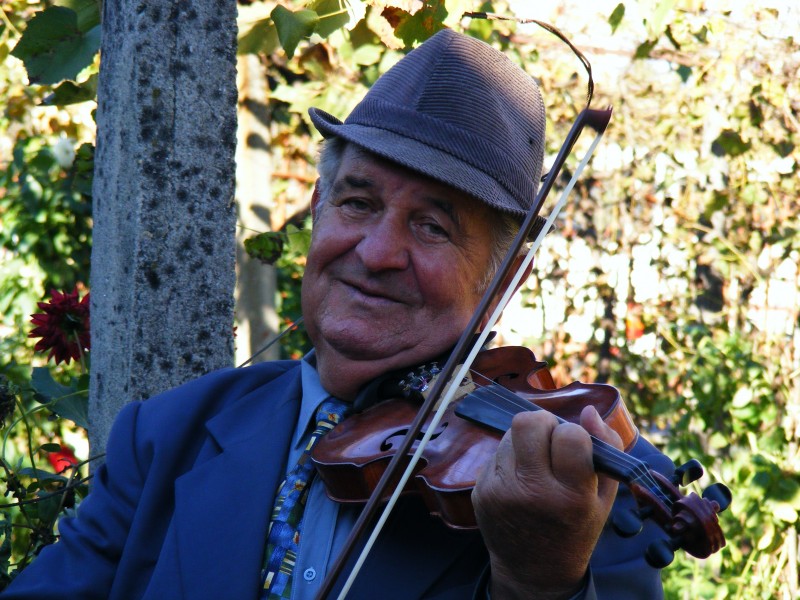 点击大图看下一张：拉小提琴的人物图片