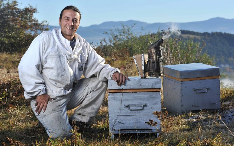 点击大图看下一张：养蜂工人图片