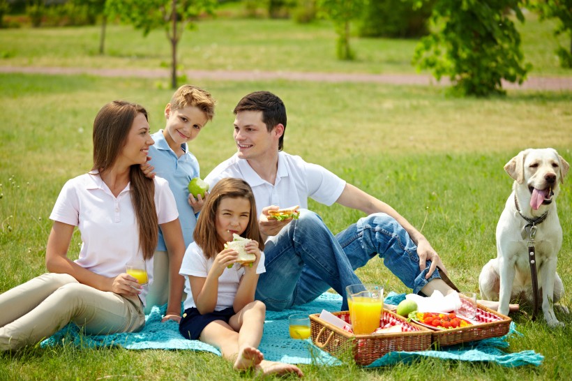 点击大图看下一张：在户外野餐的一家人图片