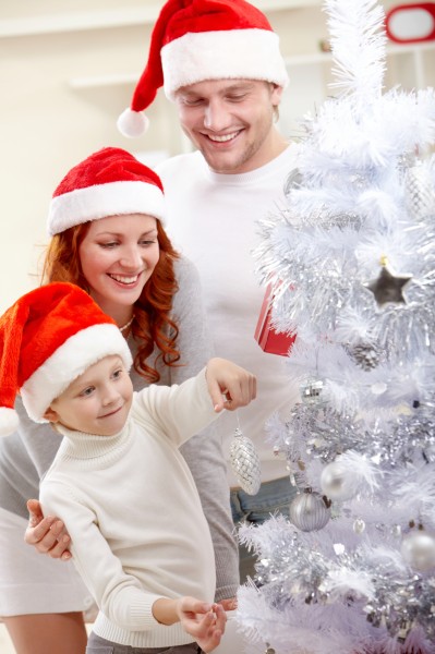 点击大图看下一张：戴着圣诞帽的一家人图片
