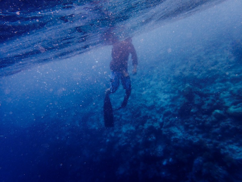 点击大图看下一张：自由潜水的潜水爱好者图片