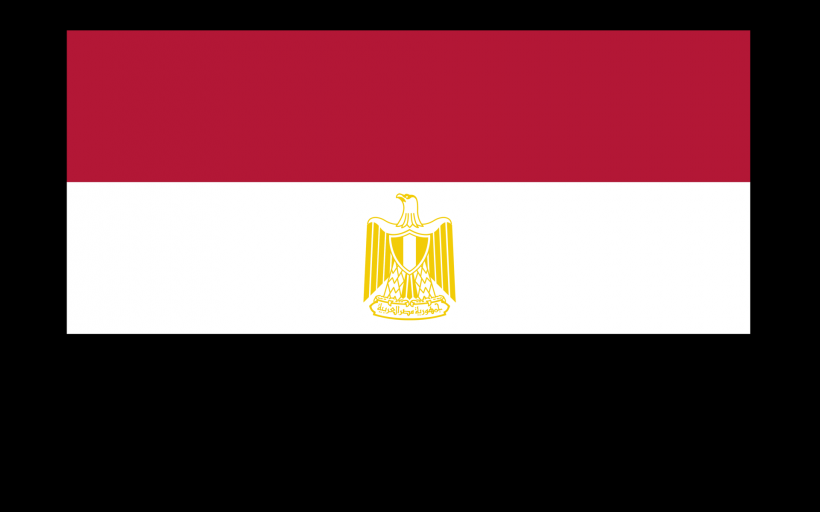 点击大图看下一张：埃及国旗图片