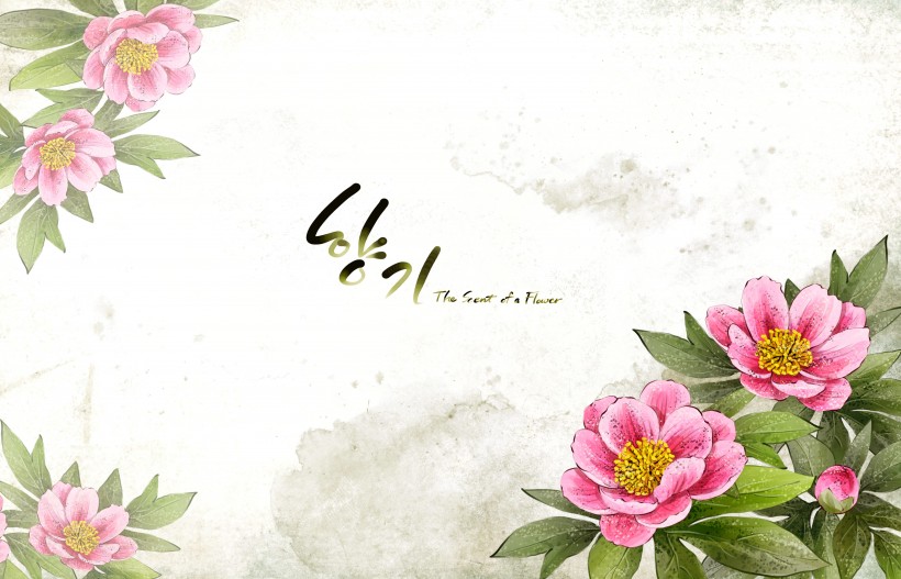 点击大图看下一张：温馨粉色韩国花朵背景图片