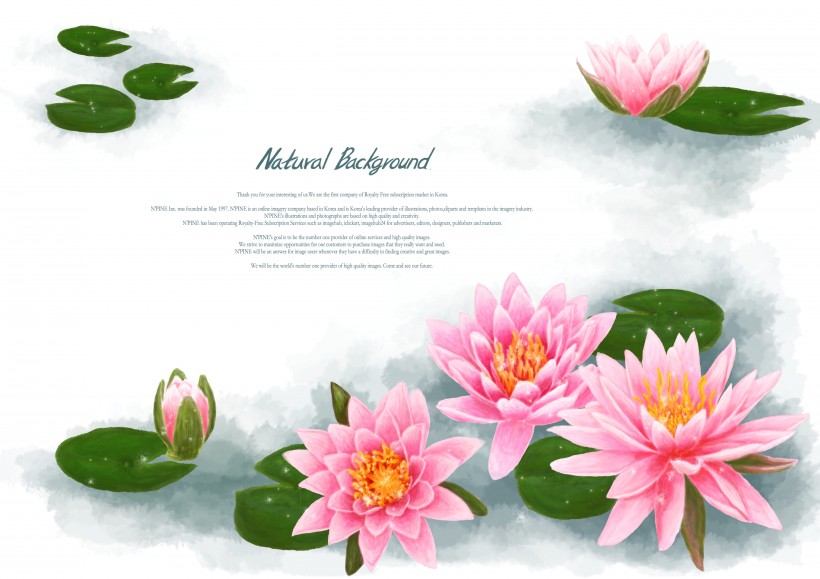 点击大图看下一张：温馨粉色韩国花朵背景图片
