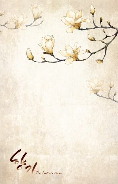 点击大图看下一张：纯洁白色韩国花朵背景图片