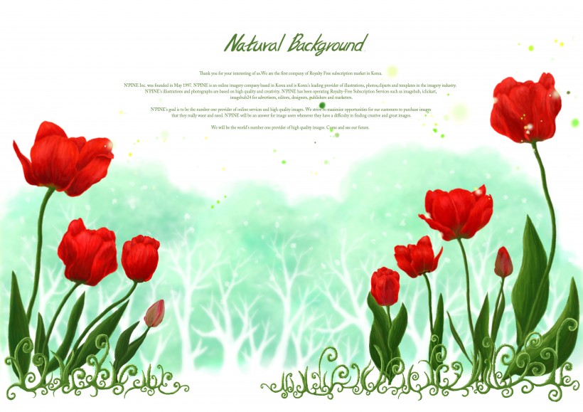 点击大图看下一张：热情红色韩国花朵背景图片
