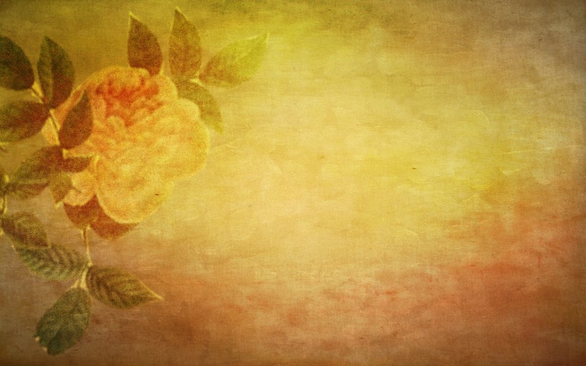 点击大图看下一张：花卉彩绘背景素材图片