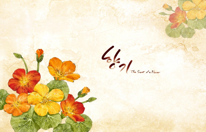 点击大图看下一张：明亮黄色韩国花朵背景图片