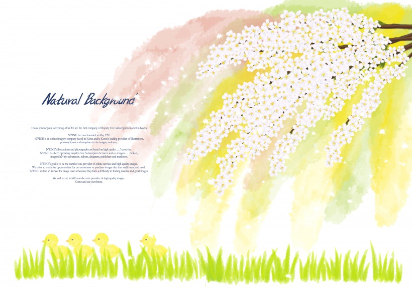 点击大图看下一张：明亮黄色韩国花朵背景图片