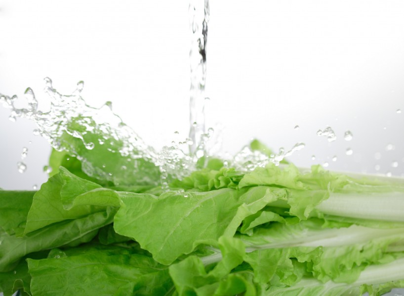 点击大图看下一张:晶莹水珠图片