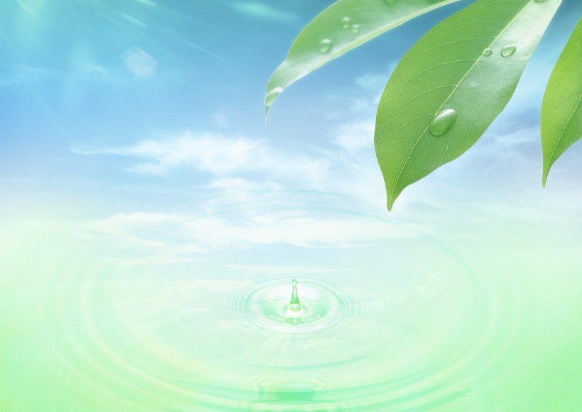 点击大图看下一张：空气和水的绿意图片