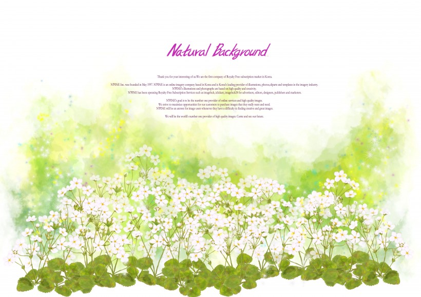 点击大图看下一张：绿色韩国花朵背景图片