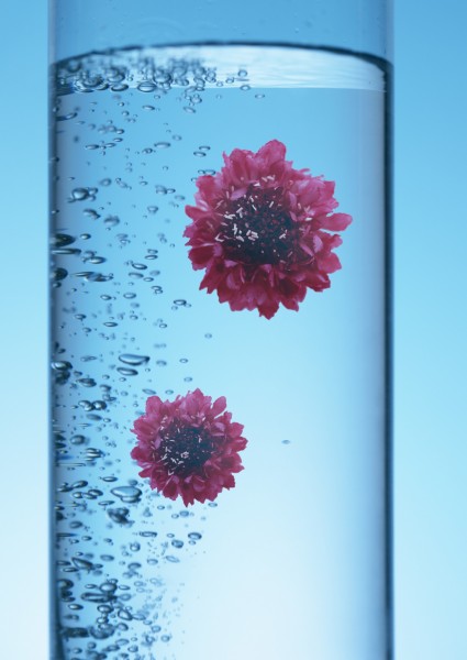 点击大图看下一张：绿色、生命和水图片