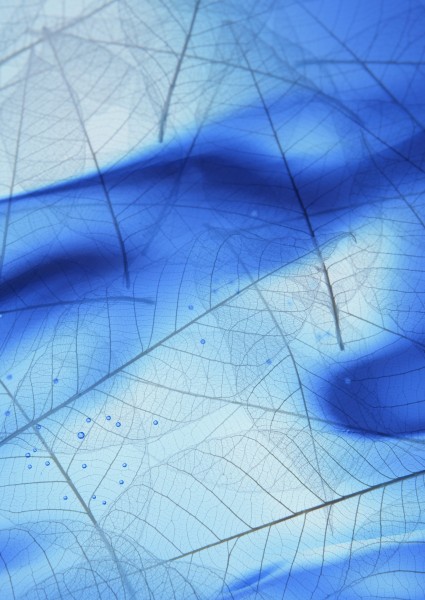 点击大图看下一张：绿色、生命和水图片