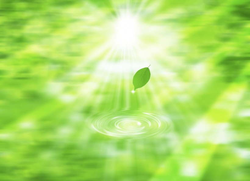 点击大图看下一张：绿叶和晶莹水滴图片