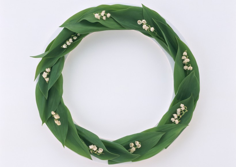 点击大图看下一张:绿叶边框图片