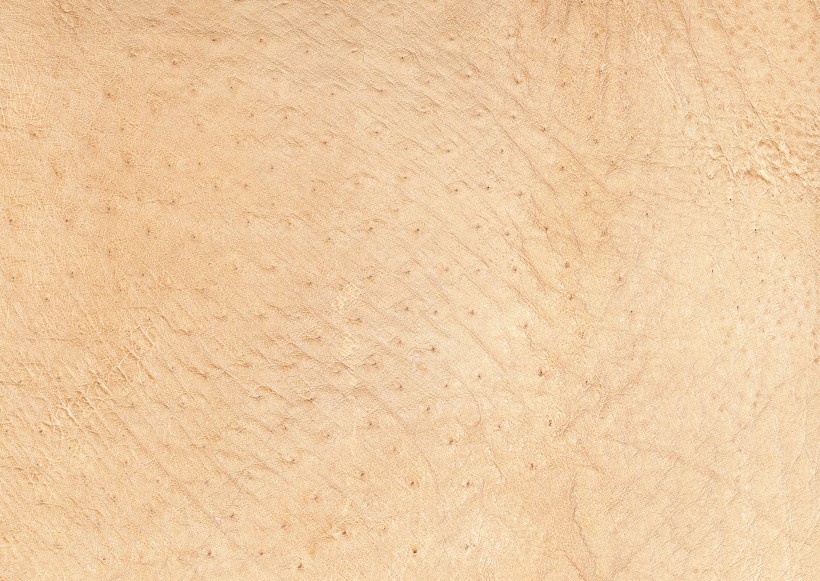 点击大图看下一张:皮革纹理图片