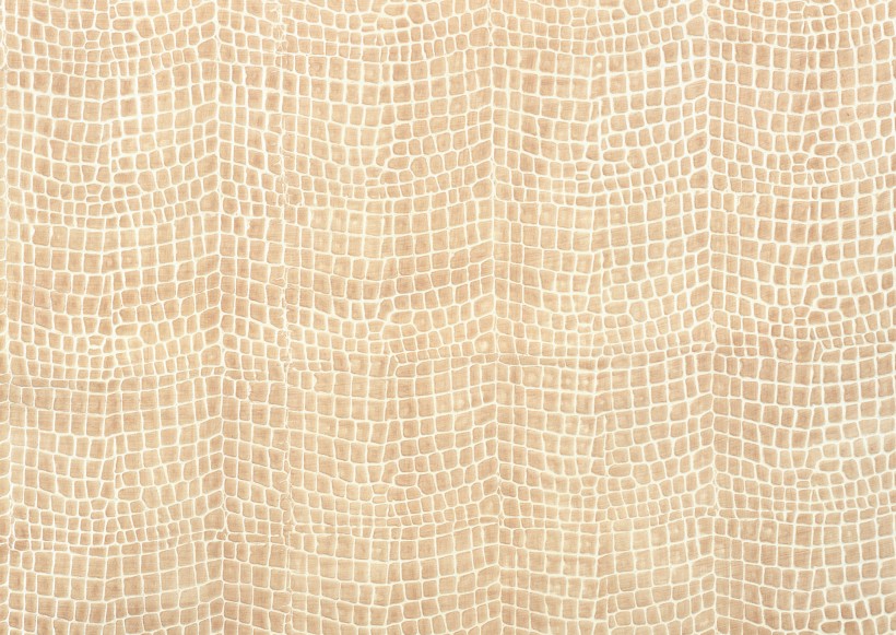 点击大图看下一张:皮革纹理图片