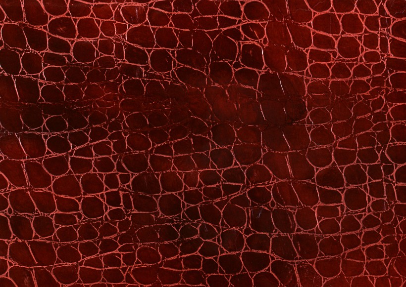 点击大图看下一张:皮革纹理图片