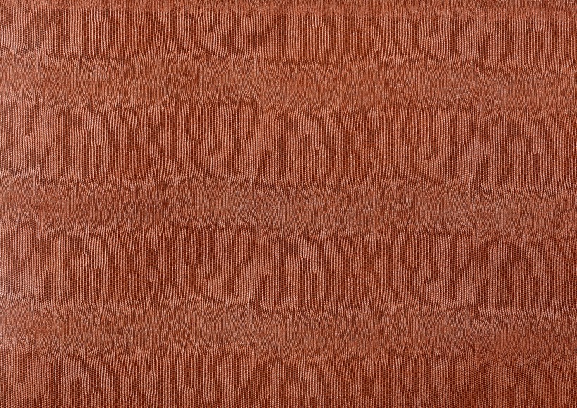 点击大图看下一张：皮革纹理图片