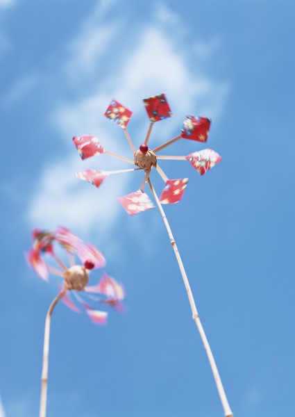 点击大图看下一张：夏日清新背景素材啤酒西瓜风车向日葵图片