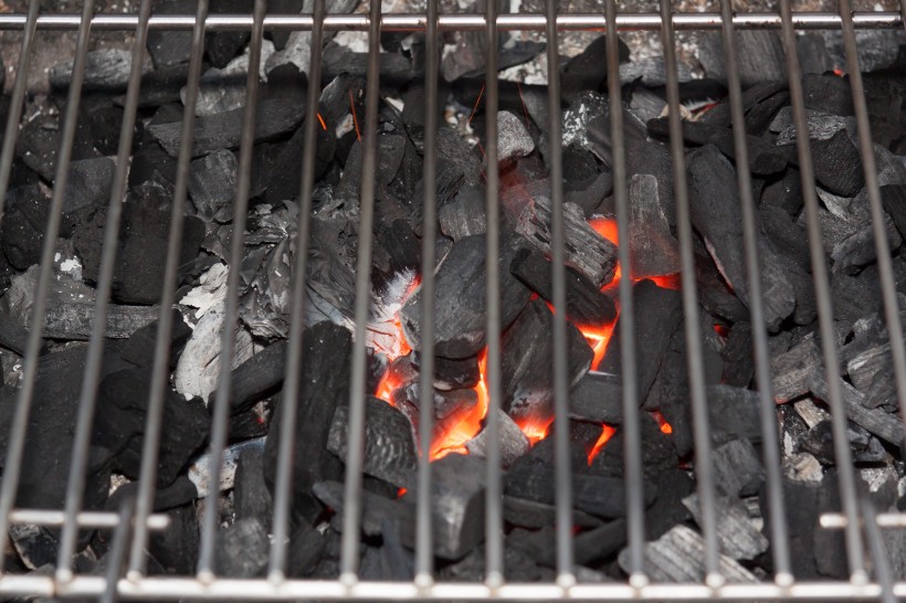 点击大图看下一张：燃烧的木炭图片