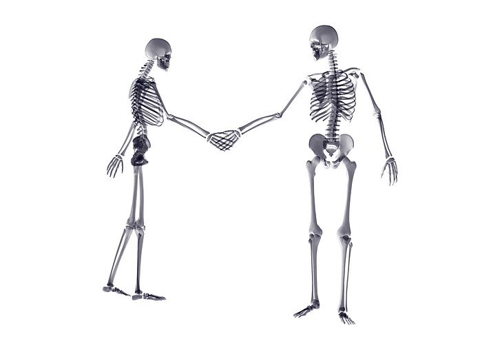 点击大图看下一张：人体骨架运动系列高清图片