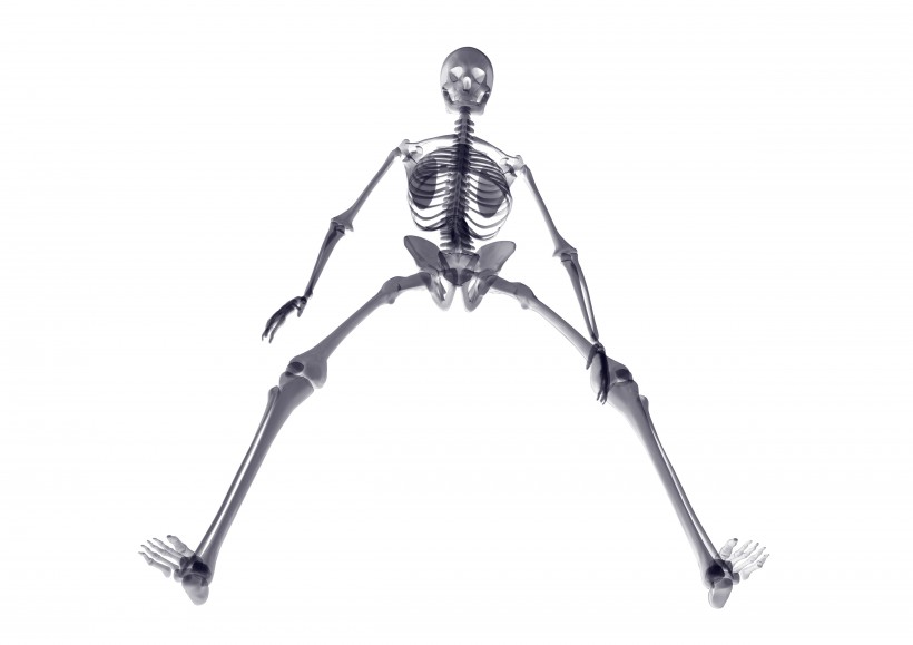 点击大图看下一张：人体骨架运动系列高清图片