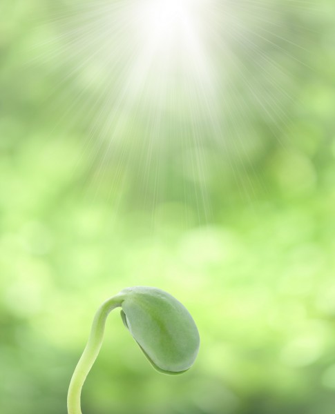 点击大图看下一张：商业背景图片