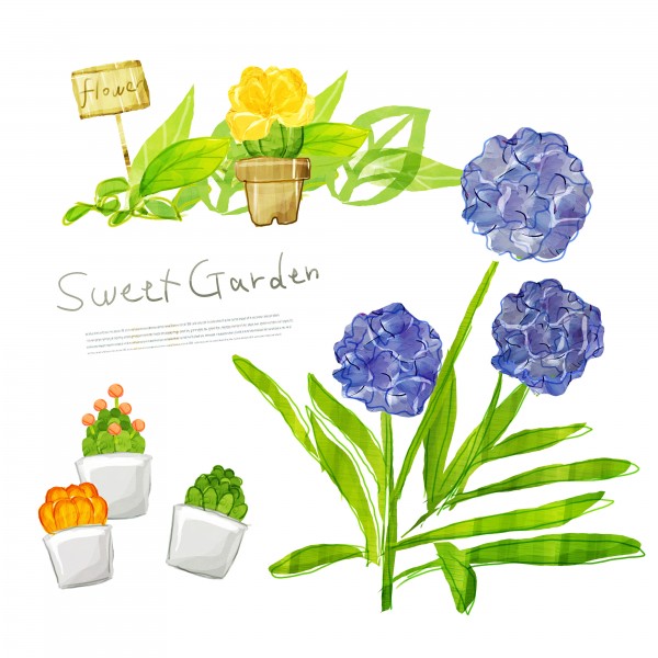 点击大图看下一张：韩国手绘水彩花朵素材图片