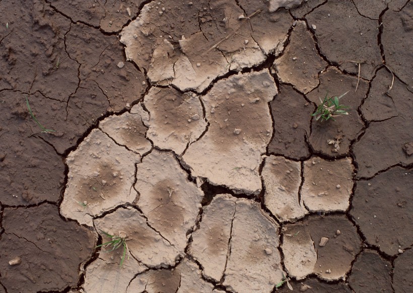 点击大图看下一张：干旱土地图片