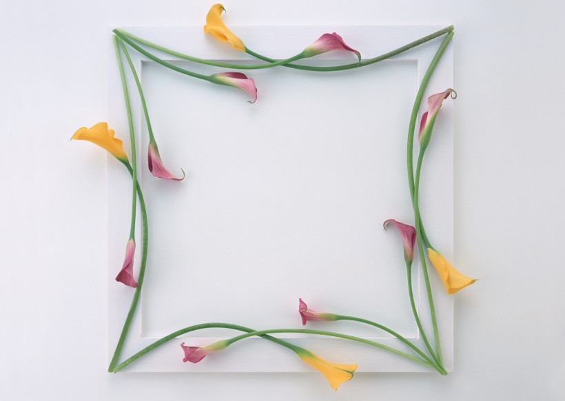 点击大图看下一张：缠绕相框的花朵图片