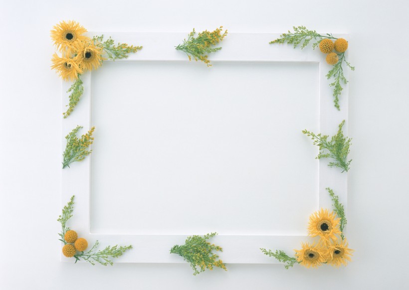 点击大图看下一张：缠绕相框的花朵图片