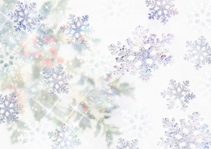 点击大图看下一张：鲜花季节之冬图片