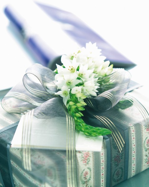 点击大图看下一张:礼物图片