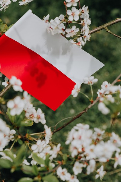 点击大图看下一张：波兰国旗的图片