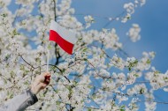 波兰国旗的图片_12张