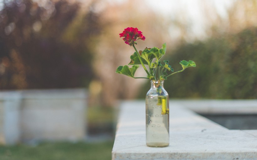 点击大图看下一张:透明玻璃瓶特写图片