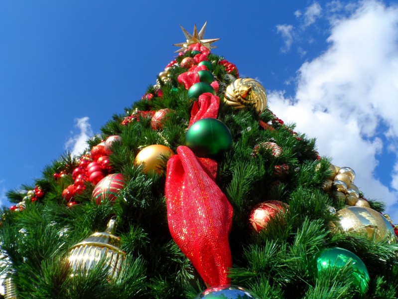 点击大图看下一张：装饰精美的圣诞树图片