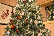 装饰精美的圣诞树图片_14张