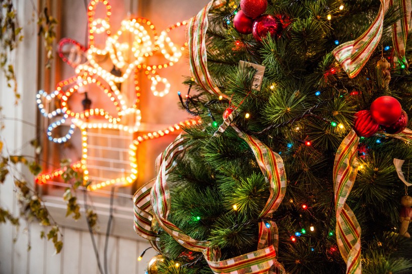 点击大图看下一张：装饰精美的圣诞树图片