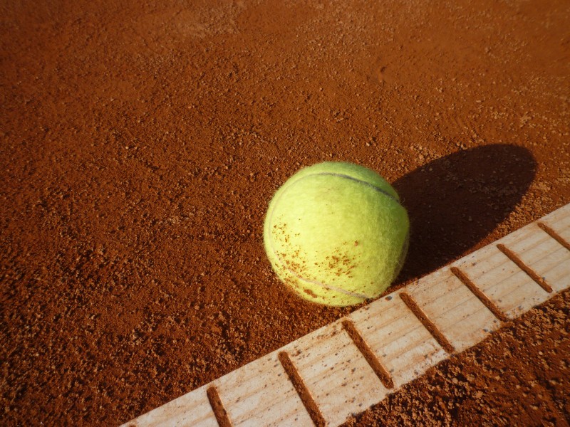 点击大图看下一张：弹性极好的网球图片