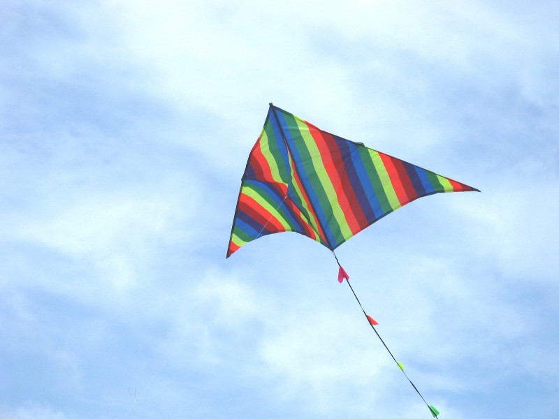 点击大图看下一张：飘摇的风筝图片
