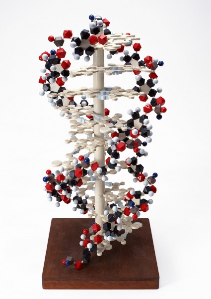 点击大图看下一张：分子结构模型图片