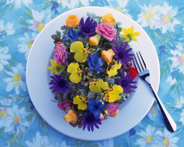 点击大图看下一张：用花卉装饰盘子的艺术摄影图片