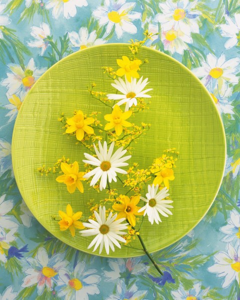 点击大图看下一张：用花卉装饰盘子的艺术摄影图片