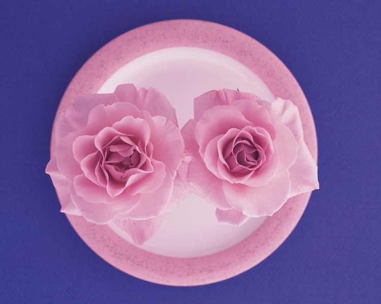点击大图看下一张：用花卉丝带装饰盘子的艺术摄影图片