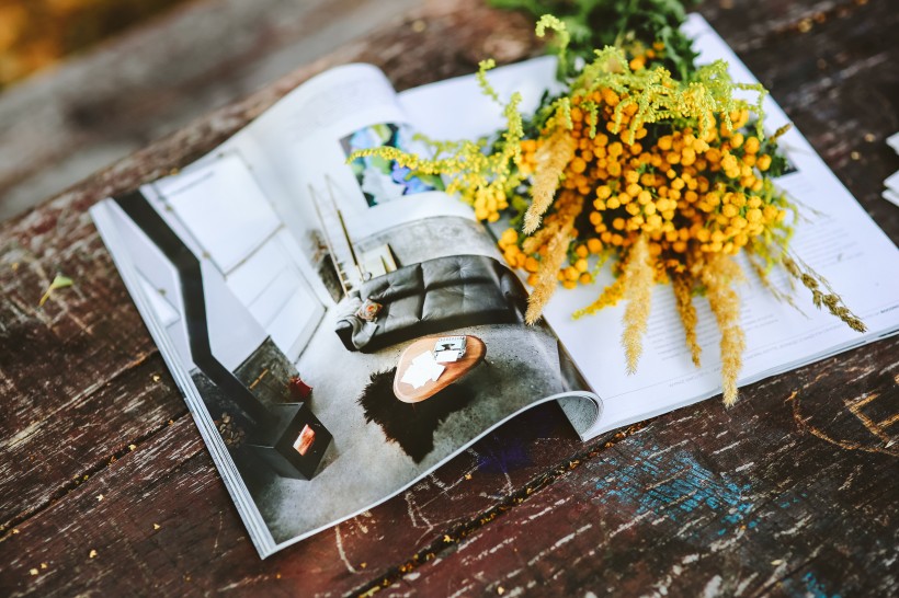 点击大图看下一张：干花和杂志和相机和板鞋的艺术摄影图片